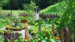 Monsoon Season: The Ideal Time to Cultivate a Thriving Kitchen Garden