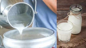 Raw Milk Dangers: Experts Warn of Foodborne Illnesses, Bacterial Risks, and Vulnerable Populations