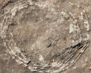 India's Ancient Mystery: Sacred Stones Unveiled as 70-Million-Year-Old Dinosaur Eggs