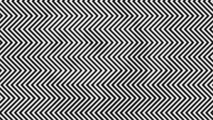 Optical Illusion: Only those with a hawk's eye and super observation skills can spot the hidden animal in this zigzag puzzle