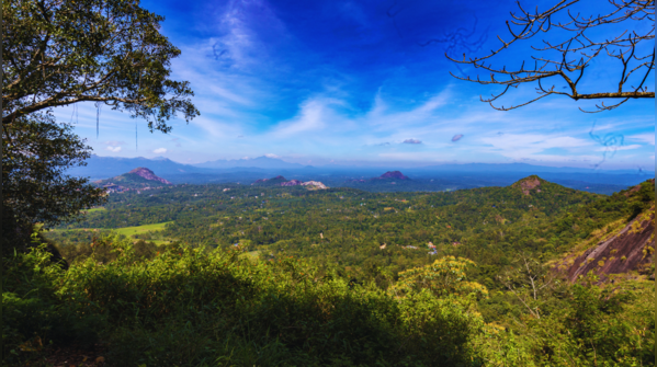 The gateway to Wayanad, believed to be haunted by a vengeful spirit
