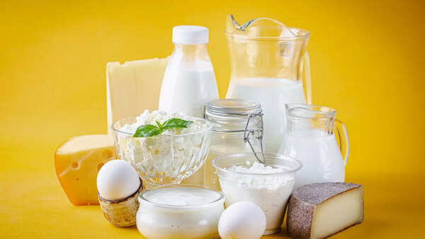 Various dairy products like milk, yogurt and cheese