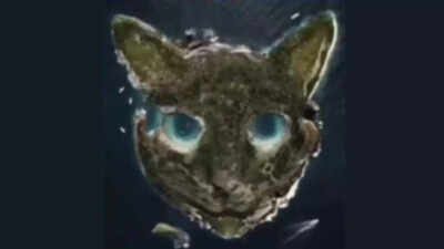 Optical illusion personality test: Cat or island? What you see first reveals if your inner strengths and weaknesses