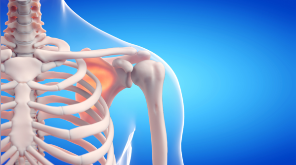 Natural protection for bones