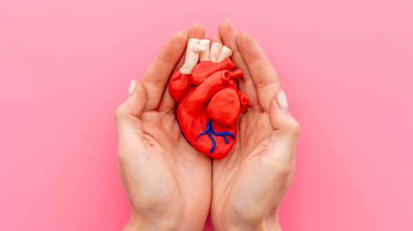 A natural support for heart health