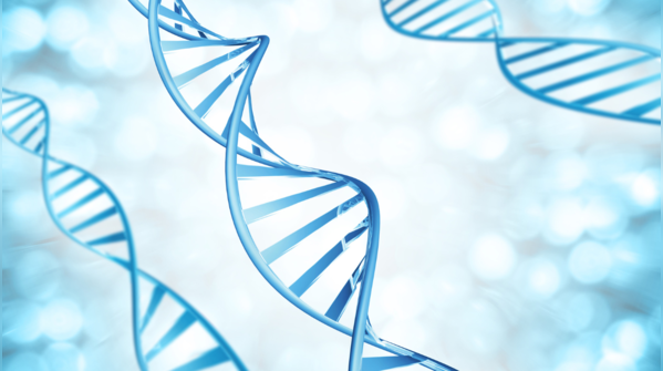 Genetics